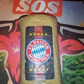 F.C. Bayern München Mousse